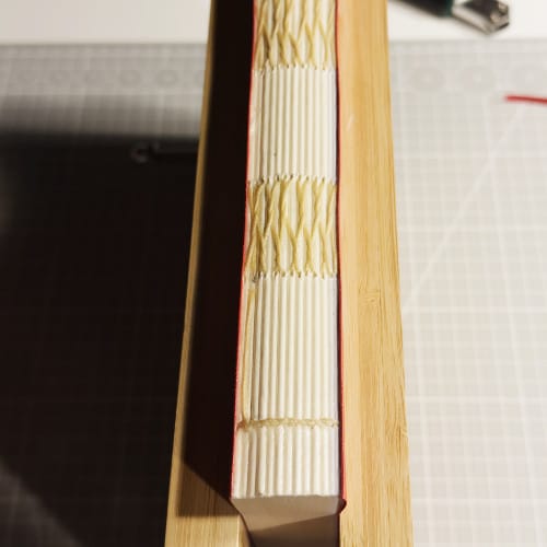 Nysa-edicion-especial-08